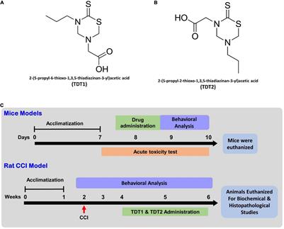 Selected Thiadiazine-Thione Derivatives Attenuate Neuroinflammation in Chronic Constriction Injury Induced Neuropathy